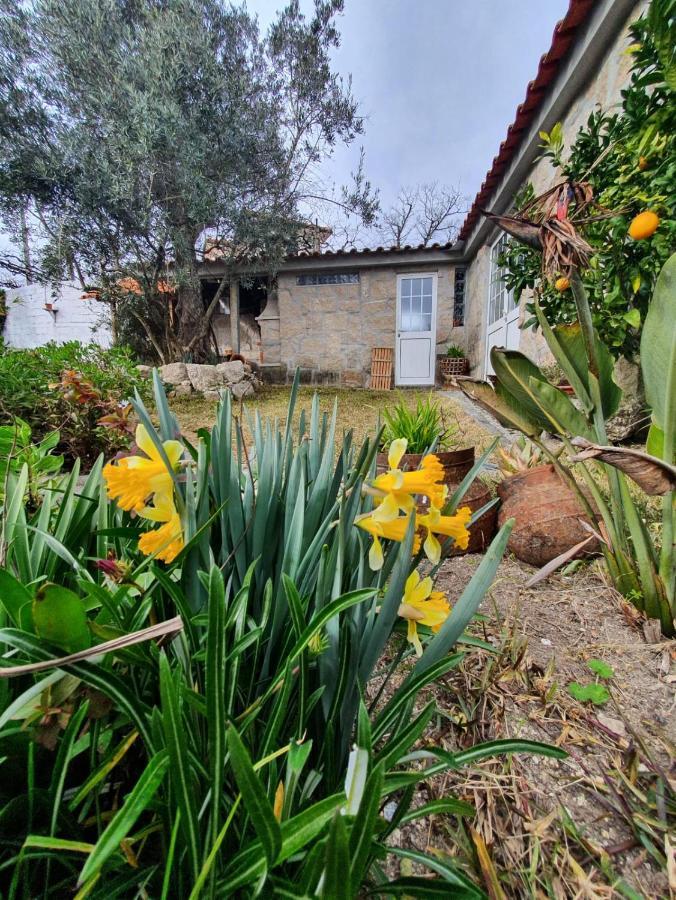 バイアン Casa Da Pocaヴィラ エクステリア 写真